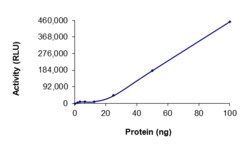 Sino Biological&nbsp;Recombinant Human EGFR Protein (d746-750, His & mCherry Tag), Active